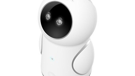 我花八千美金订了个赛博女友，就为了半夜有人陪我骂甲方