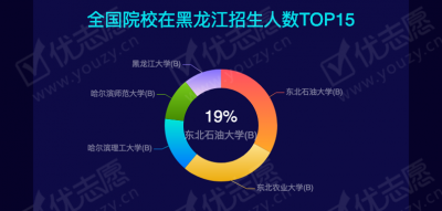 黑龙江AI大数据代理真能落地？我跑了仨月，发现水挺深！