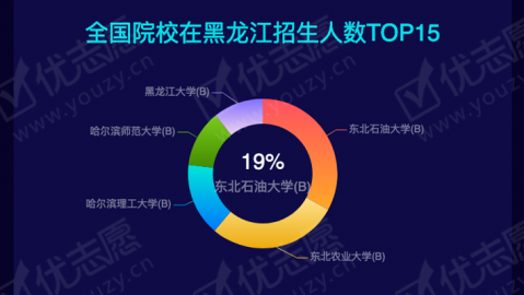 黑龙江AI大数据代理真能落地？我跑了仨月，发现水挺深！